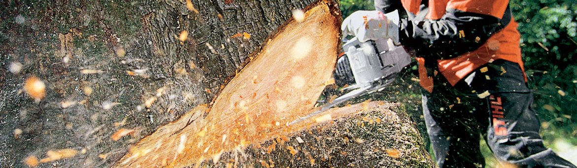 Stihl Chainsaws, Trimmers, Blowers Sales Rental